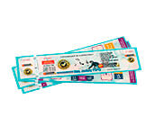 INGRESSOS DE SEGURANÇA